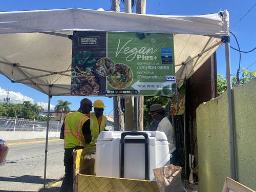 The stand  at Vegan Plus+ in Kingston