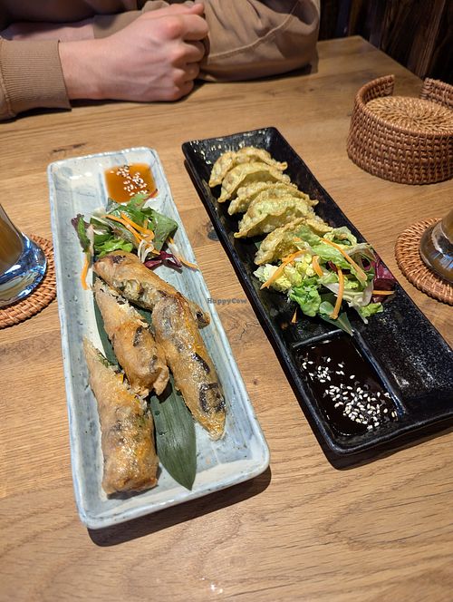 Gyoza + Frühlungsrollen at MiMi  in Halle