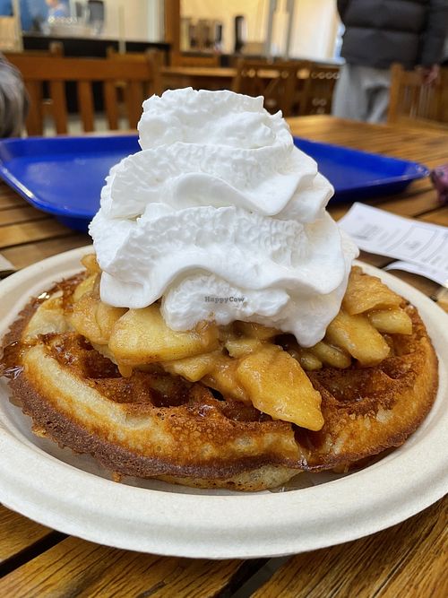 Vegan Gluten Free Waffle with apple Sauce and Coconut Whipped cream. Waffle is huge and 1 was more than enough to fill me up.   at Krause Farms in Langley
