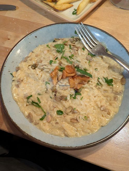  at Roka   in Rovaniemi