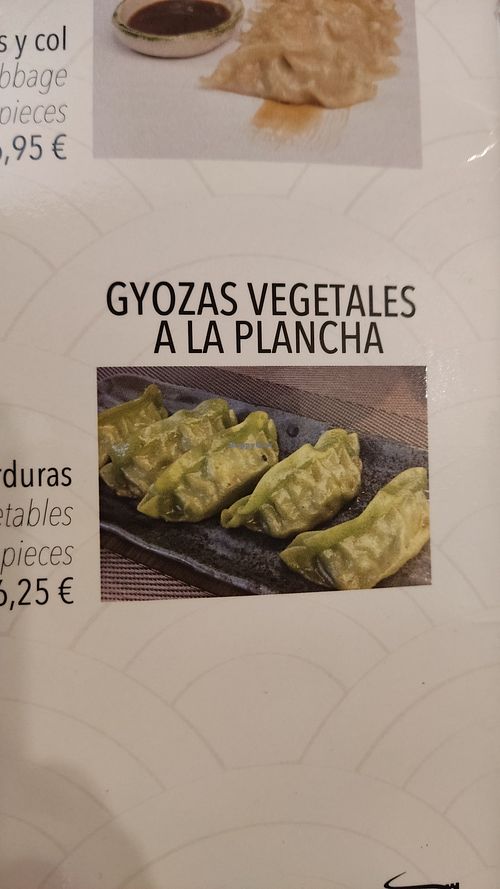 Gyozas at Restaurant Gran Muralla in Calafell