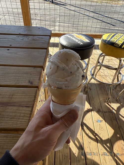 Coconut chocolate chip   at Livy's Ice Cream Shop in Collinsville