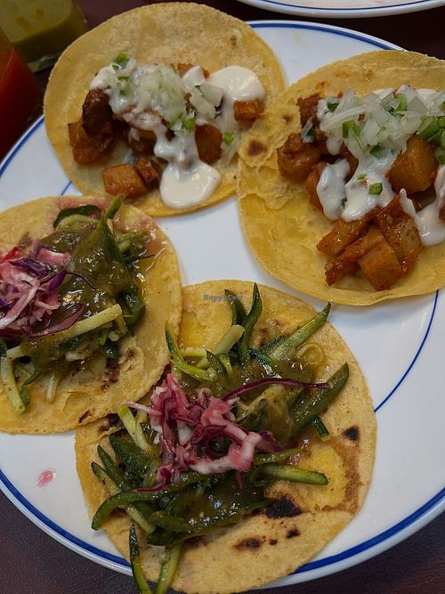Potato tacos & chilli & veggie tacos  at Taquito in Carlton