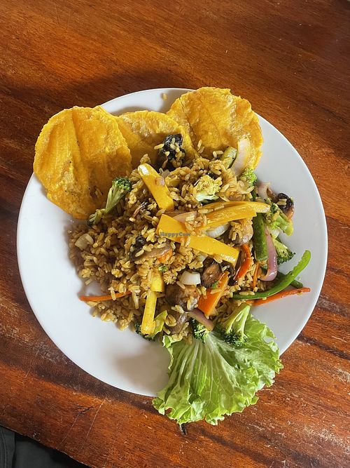 Vegan rice, recommend!  at Arca Tayrona in Santa Marta