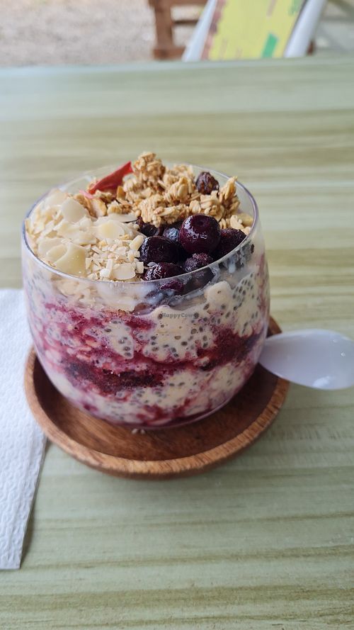 Blueberry Bowl without greek yoghurt and honey at Bread & Blend in Panglao