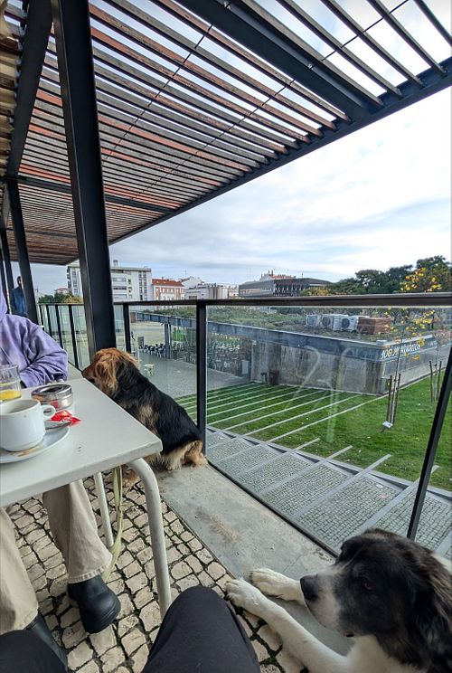 Cappuccino Reismilch at Gelataria & Croissanteria - Bem-haja  in Castelo Branco