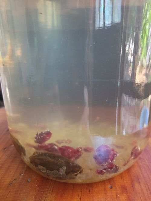 Fruit water kefir at Oryza Om Tempeh in Brisas De Zicatela