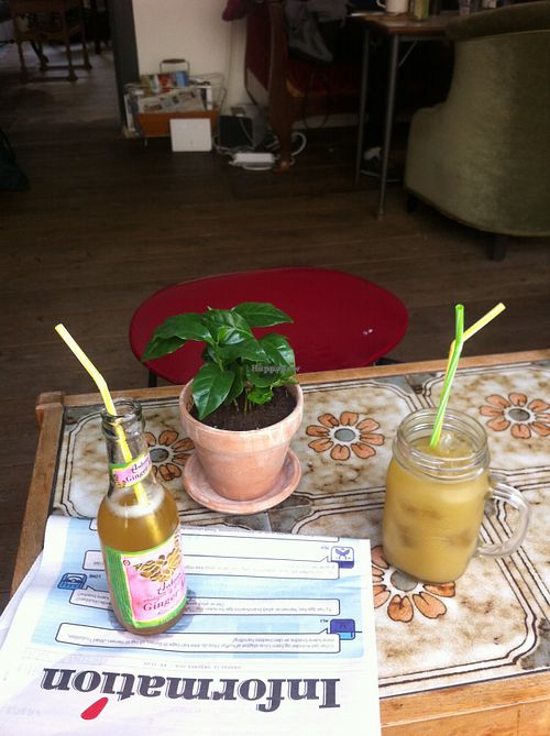 Vibe at Vi Modtes Gennem Ruden in Copenhagen