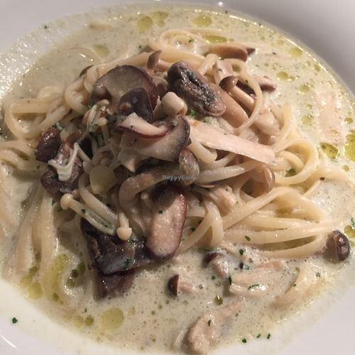 pasta with soy milk sauce and mushrooms  at Ko-So Cafe in Tokyo