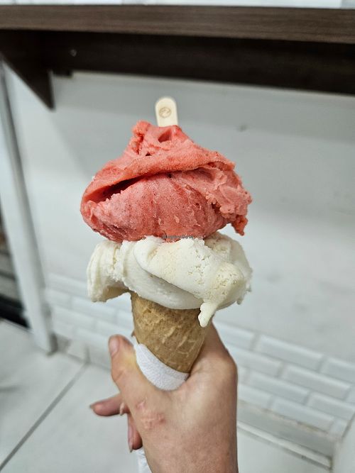 #Veganuary at diBosco Gelato Autoral in Maceio
