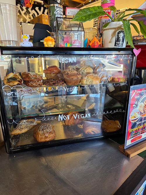I came late in the morning, and there was still variety at Ocean Beach Coffee and Plants in San Diego