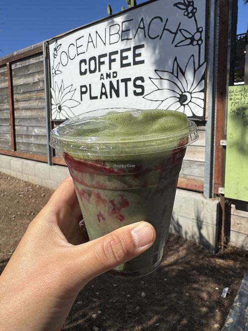   at Ocean Beach Coffee and Plants in San Diego
