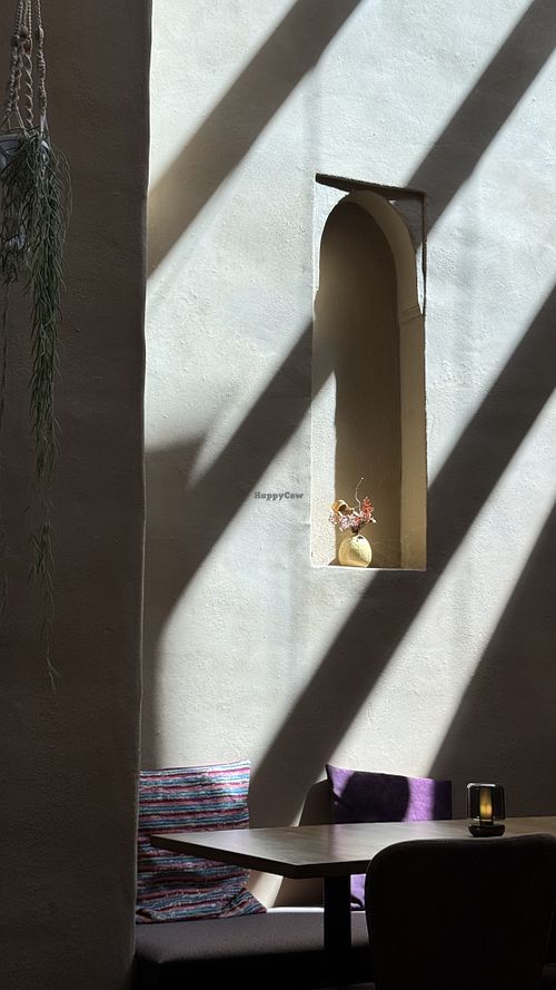   at Kosmopoliet in Bruges