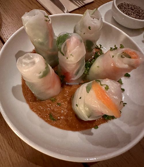   at Kosmopoliet in Bruges