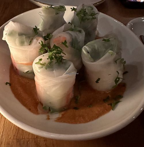   at Kosmopoliet in Bruges