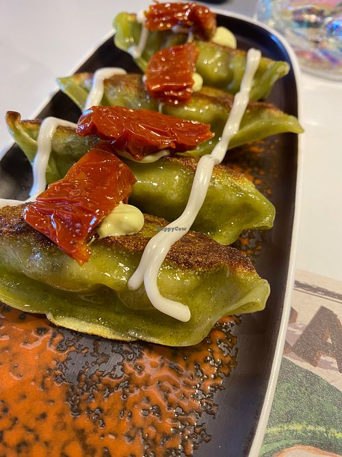 Grilled Vege Gyoza at MIC Ramen Firenze SUD in Florence