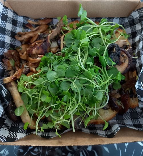 Umami Mushrooms on GF Sourdough, with Sweet Wasabi Watercress. Available all day. Yum. at Blue Tongue Pantry in Thorneside