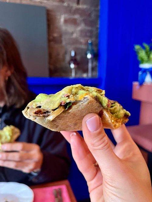 Vegan crunch wrap at HIGH DIVE in Margate