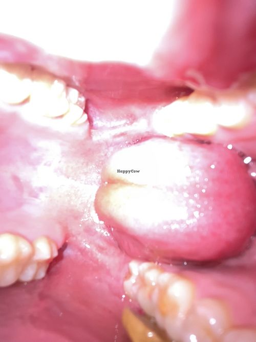 Good food   at Newtown North Indian Diner in Newtown