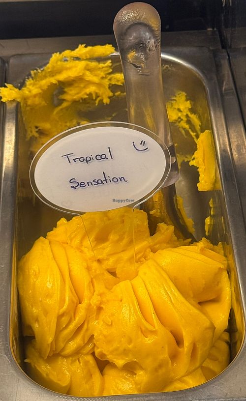  #Veganuary at Acai Tropical Brasil  in Montes Claros