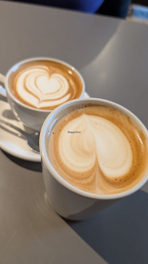 Flat white and latte with oat milk at Noshington Café  in Dublin