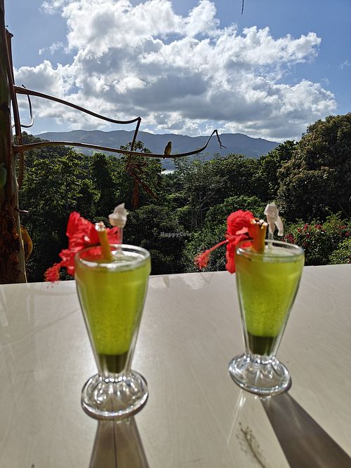 Lemonades & Stunning Views at Bar Restaurante Paellas La Oropendola in Nuevo Arenal