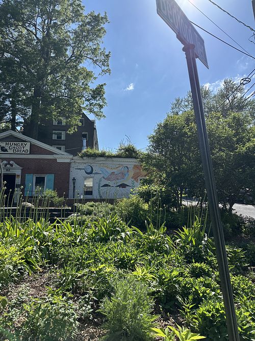 Outdoor  at Hungry Ghost Bread in Northampton