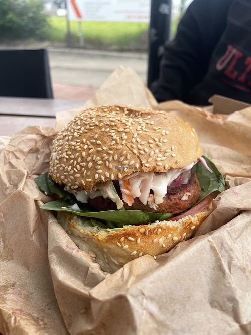 Vegan meat burger   at Ferry Cafe in Paynseville
