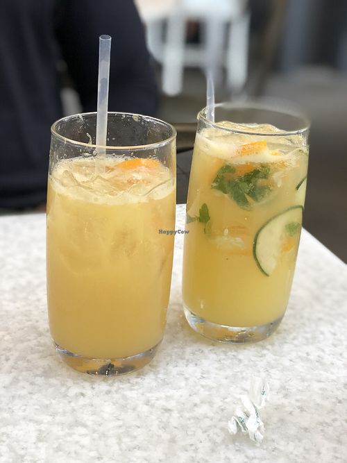Double Skinny margarita and ginger margarita at True Food Kitchen - Fashion Valley Mall in San Diego