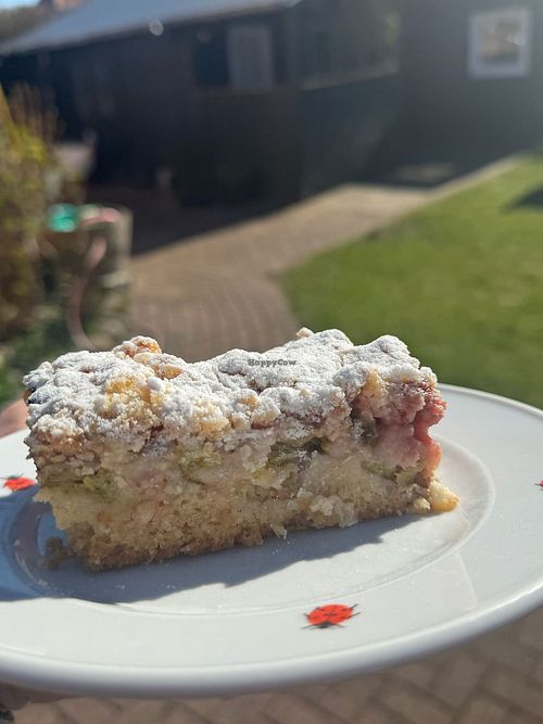 Rhubarb Cake at Die Kleine Teestube auf Sylt - Café & Deli in Sylt