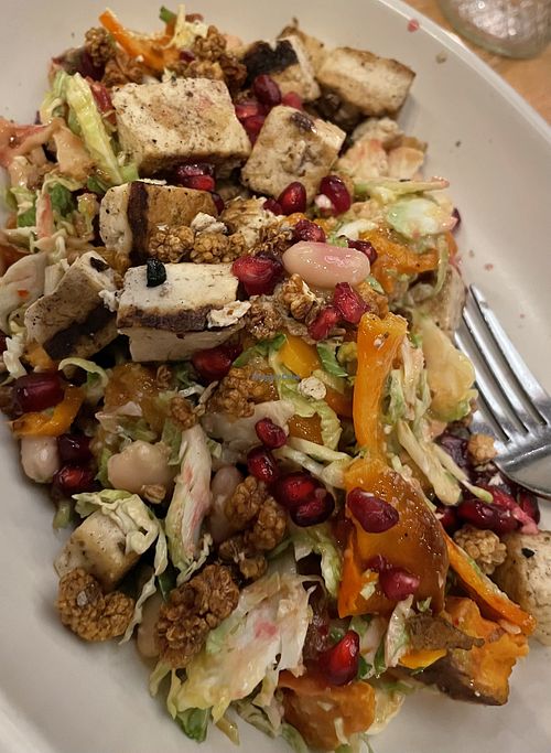Seasonal harvest salad with tofu  at True Food Kitchen in Dallas