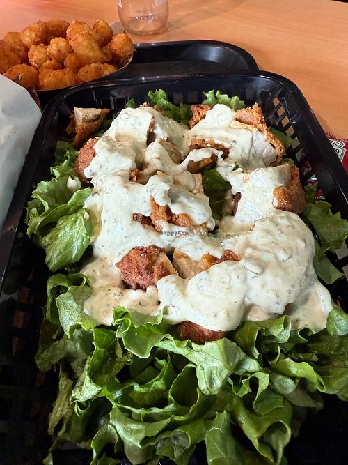 LIZARD SALAD at Malibu Burgers in San Rafael