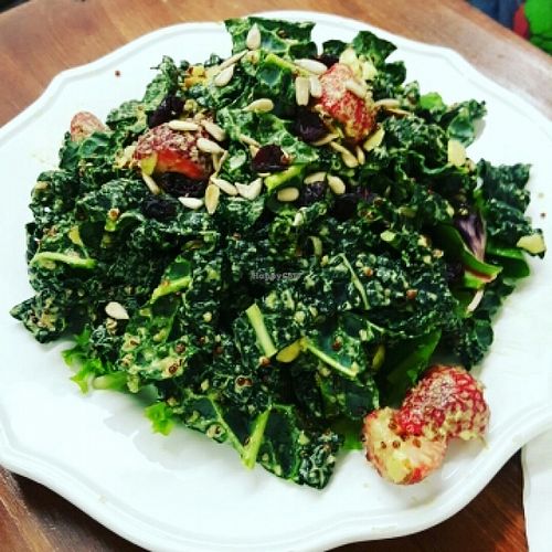 Kale Salad at 24 Carrots in Tempe