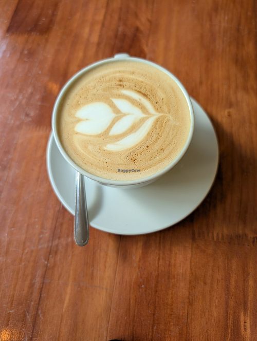  at Quechua's House - Specialty Coffee Roasters in Cusco