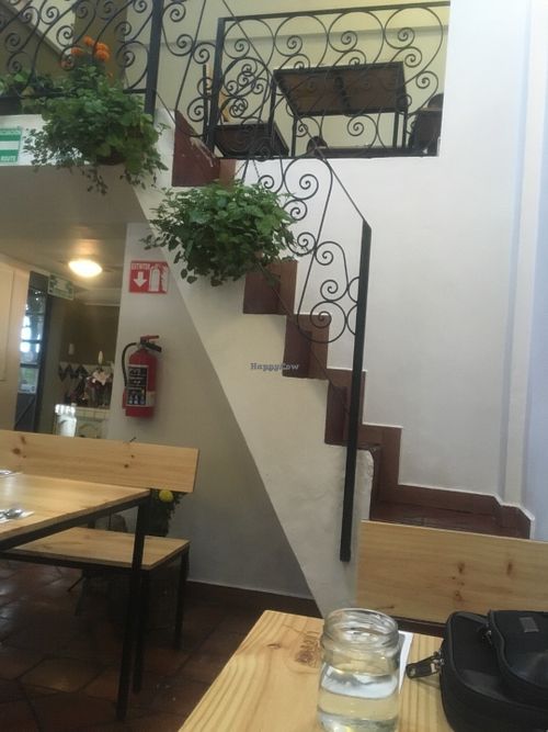 Cool, funky, modern, homey interior. at Lucuma in Guadalajara