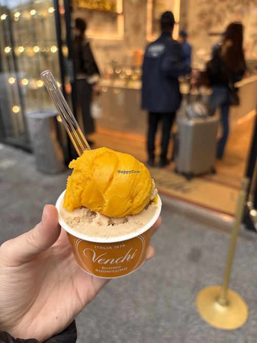 Gelato   at Venchi - Mitsui Outlet in Kisarazu