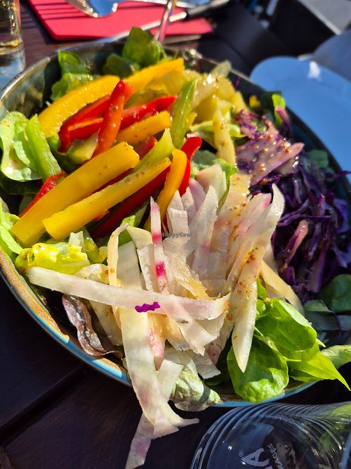 Salade mêlée at Le Red - Croix-de-Culet in Champery
