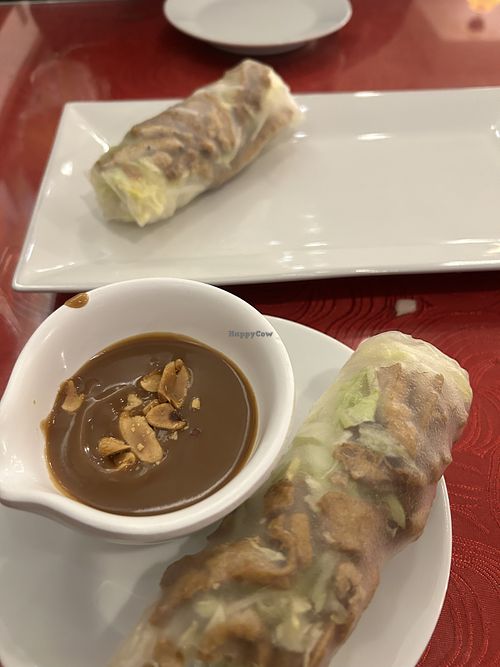 Vegan tofu spring rolls and peanut sauce  at Saigon Restaurant  in Worcester