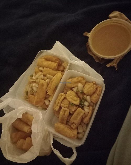 Vegetable spring rolls, Salt and pepper tofu and Vegetable spring rolls and curry sauce at The Wokshop Dundee in Dundee