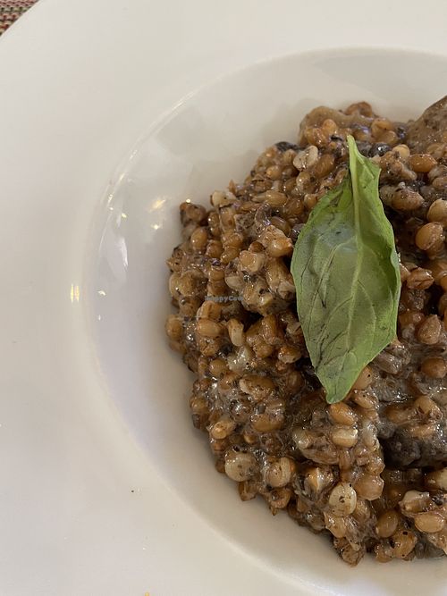 Risotto (ex cheese - need to specify vegan!)  at Alma Tapas in Lanzarote