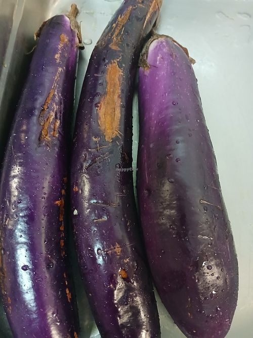  at Italisvitalcafe in Norfolk