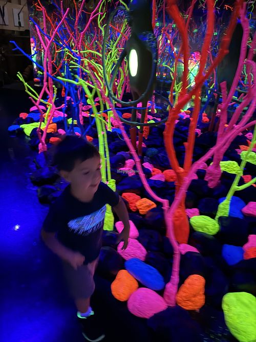   at Meow Wolf in Grapevine
