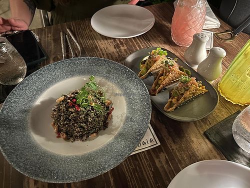 Vegan tacos and quinoa salad at Baia in Speightstown