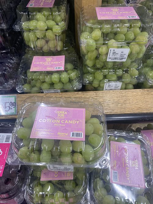 Cotton Candy Grapes Available  at Trader Joe's in Modesto