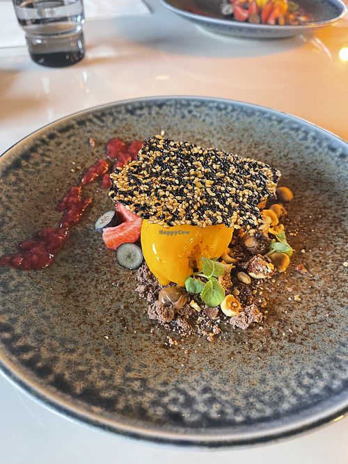 Dessert: sesame wafer, mango sorbet on a bed of chocolate hazelnut crumb with raspberry coulis and bread fruit on the side    at Madam Social in Napier