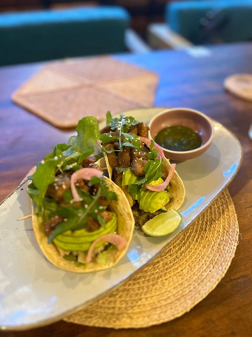 Vegan tacos at OffShore in Hikkaduwa
