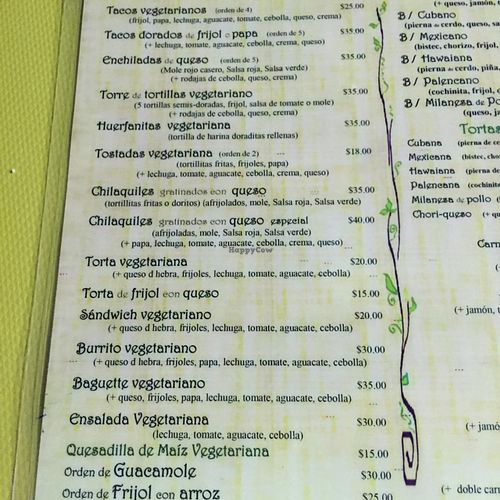 veg menu  at El Caracol de Jade in Palenque