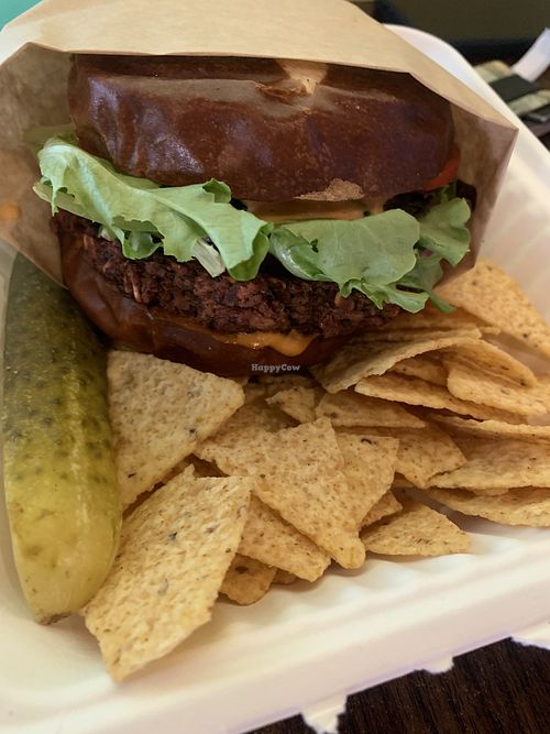 House patty…super yummy!  The thousand island sauce is vegan…woot woot!   at Nectar Cafe in Auburn
