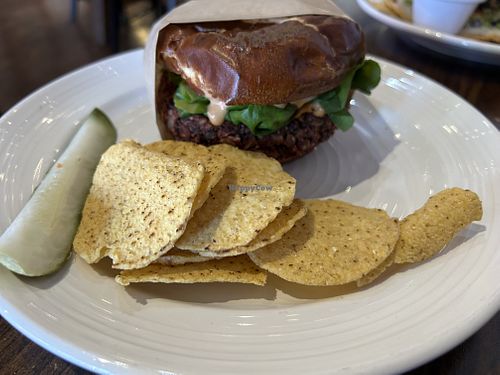 American burger with house patty - yum!   at Nectar Cafe in Auburn