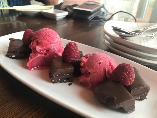 Chocolate fudge dessert with raspberry sorbet. Delish! at Blue Sushi Sake Grill in Fort Worth